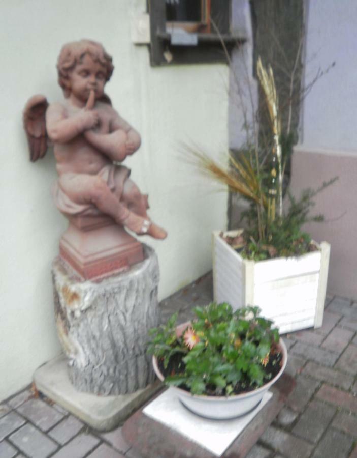 Gites Petermann Marckolsheim Exterior photo